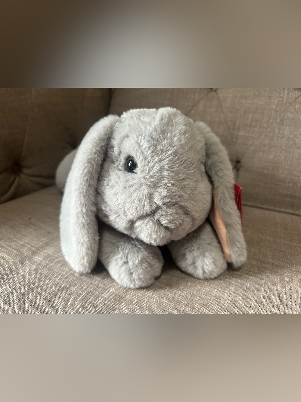 FAO Schwarz Adopt-A-Pet Bunny Rabbit (NWT)
